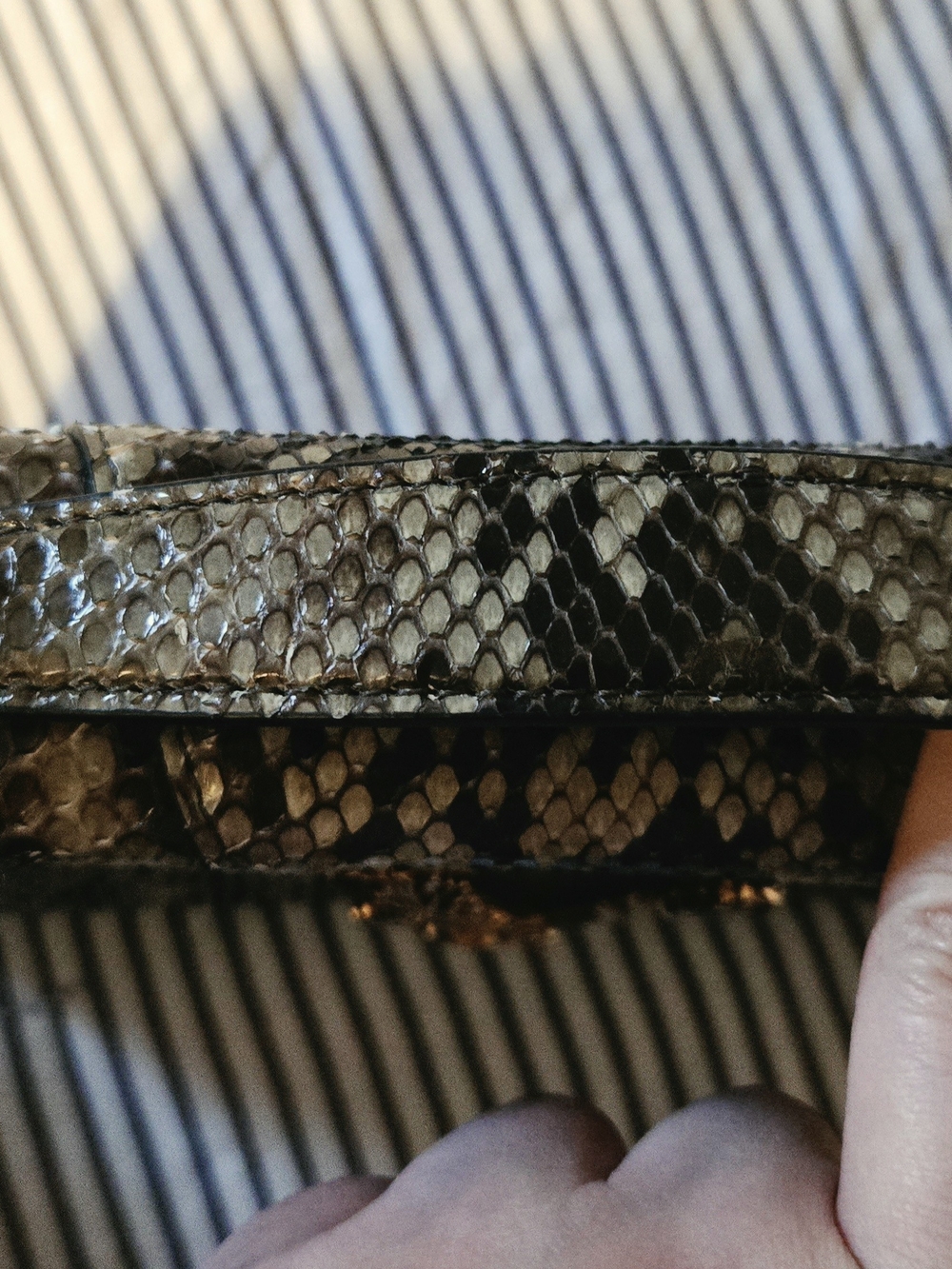 Versace Virtus Python Bag - Picture 5 of 9